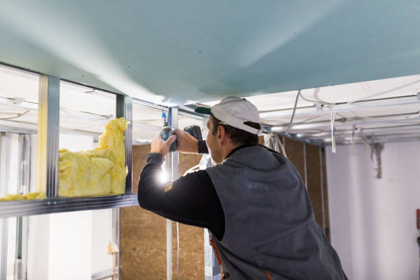 Best Insulation Maintenance and Repair in St Clairsville, OH